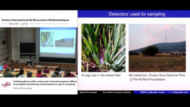 Catching ghosts with a coarse net: real and imaginary effects in ecological monitoring routine based on sparse sampling