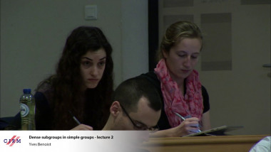 Dense subgroups in simple groups - Lecture 2