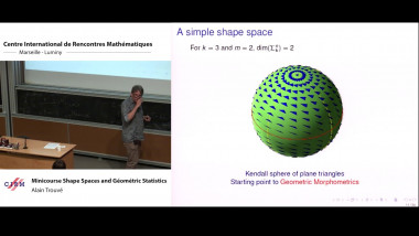 Minicourse shape spaces and geometric statistics