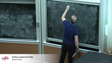 Surface systems for links