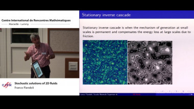 Stochastic solutions of 2D fluids