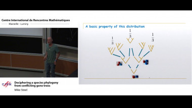 Deciphering a species phylogeny from conflicting gene trees
