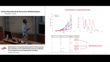 Optimization of sequential administration of bevacizumab plus cytotoxics in non-small cell lung cancer by combining in vivo experiments and mathematical modeling