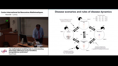 Can mathematical modeling help in understanding phenotypic differences across hereditary paraganglioma syndromes?