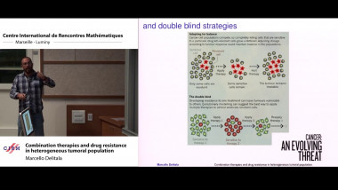 Combination therapies and drug resistance in heterogeneous tumoral populations