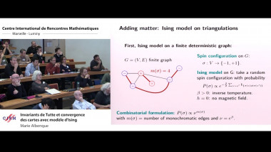 Invariants de Tutte et convergence des cartes avec modèle d'Ising