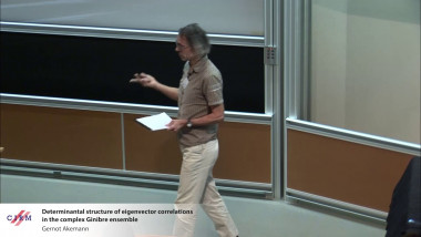 Determinantal structure of eigenvector correlations in the complex Ginibre ensemble