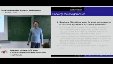 Eigenvector convergence for minors of unitarily invariant infinite random matrices