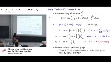 Skyrme fields, multi-instantons and the $SU(\infty )$-Toda equation