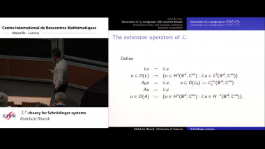 $L^p$-theory for Schrödinger systems