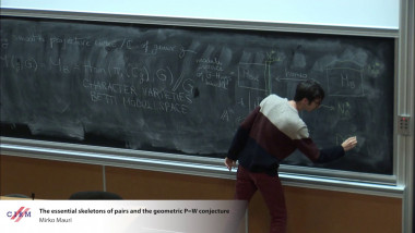 The essential skeletons of pairs and the geometric P=W conjecture