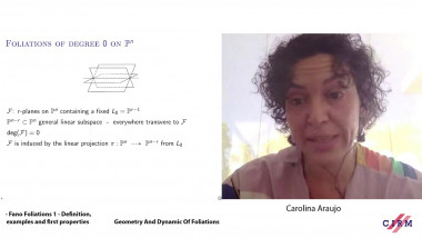 Fano foliations 1 - Definition, examples and first properties - lecture 2