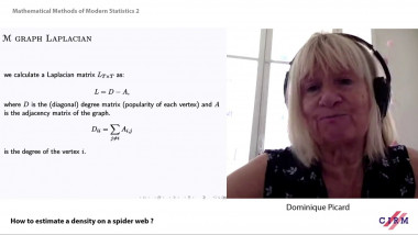 How to estimate a density on a spider web ?