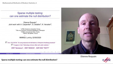 Sparse multiple testing: can one estimate the null distribution ?