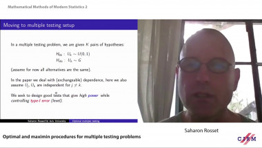 Optimal and maximin procedures for multiple testing problems
