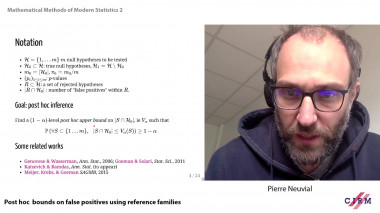 Post hoc bounds on false positives using reference families