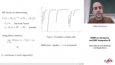 PDMPs in risk theory and QMC integration III