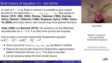 Skolem's conjecture and exponential Diophantine equations