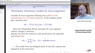 Large stochastic systems of interacting particles
