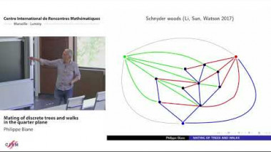 Mating of discrete trees and walks in the quarter plane