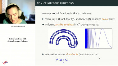 Entire functions with Cantor bouquet Julia sets