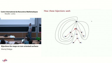 Bijections for maps on non-oriented surfaces