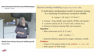 Models from mixture theory for biofilm growth