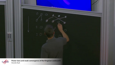 Power-laws and weak convergence of the Kingman coalescent