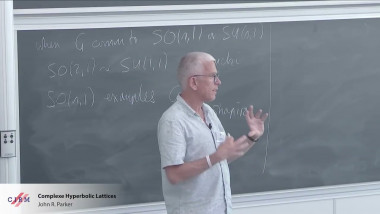 Complex Hyperbolic Lattices