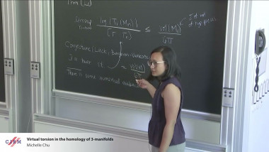 Virtual torsion in the homology of 3-manifolds.