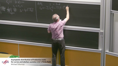 Asymptotic distribution of Frobenius roots for curves and abelian varieties over a finite field