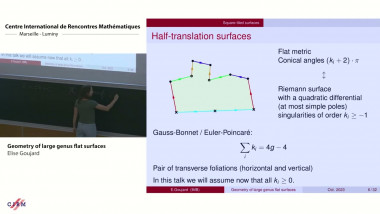 Geometry of large genus flat surfaces