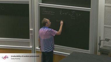 Irreducibility of random polynomials