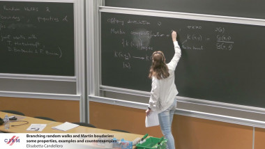 Branching random walks and Martin boundaries: some properties, examples and counterexamples