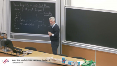 Mean field results in fluid mechanics - Lecture 1