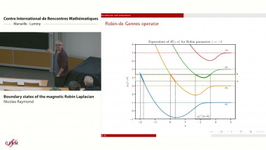 Boundary states of the magnetic Robin Laplacian