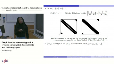 Graph limit for interacting particle systems on weighted deterministic and random graphs
