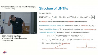Geometry and topology of spaces of structured matrices