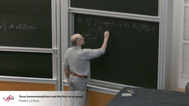 Torus homeomorphisms and the fine curve graph