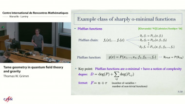 Tame geometry in quantum field theory and gravity
