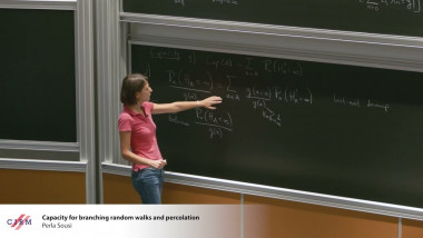Capacity for branching random walks and percolation