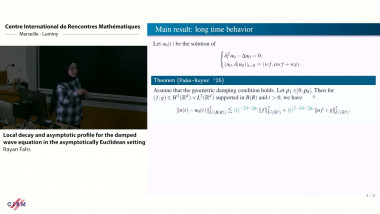 Local decay and asymptotic profile for the damped wave equation in the asymptotically Euclidean setting
