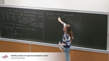 Stability analysis of a quantum dissipative system