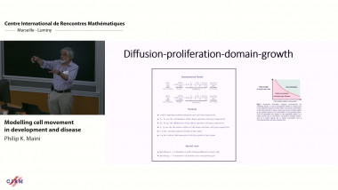 Modelling cell movement in development and disease