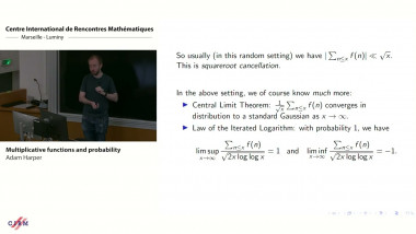 Multiplicative functions and probability