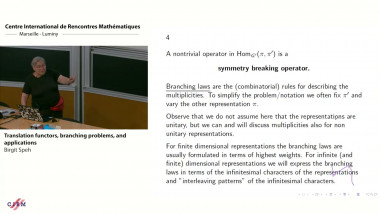 Translation functors, branching problems, and applications