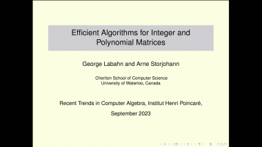 Efficient algorithms for integer and polynomial matrices - Part 1
