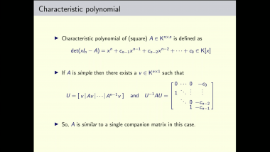 Efficient algorithms for integer and polynomial matrices - Part 2