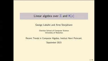 Efficient algorithms for integer and polynomial matrices - Part 3: Linear algebra over ℤ and K[𝑥]