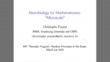 Neurobiology for mathematicians - Part 1